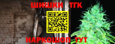 дживик Тара