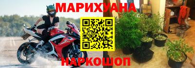 дживик Тара