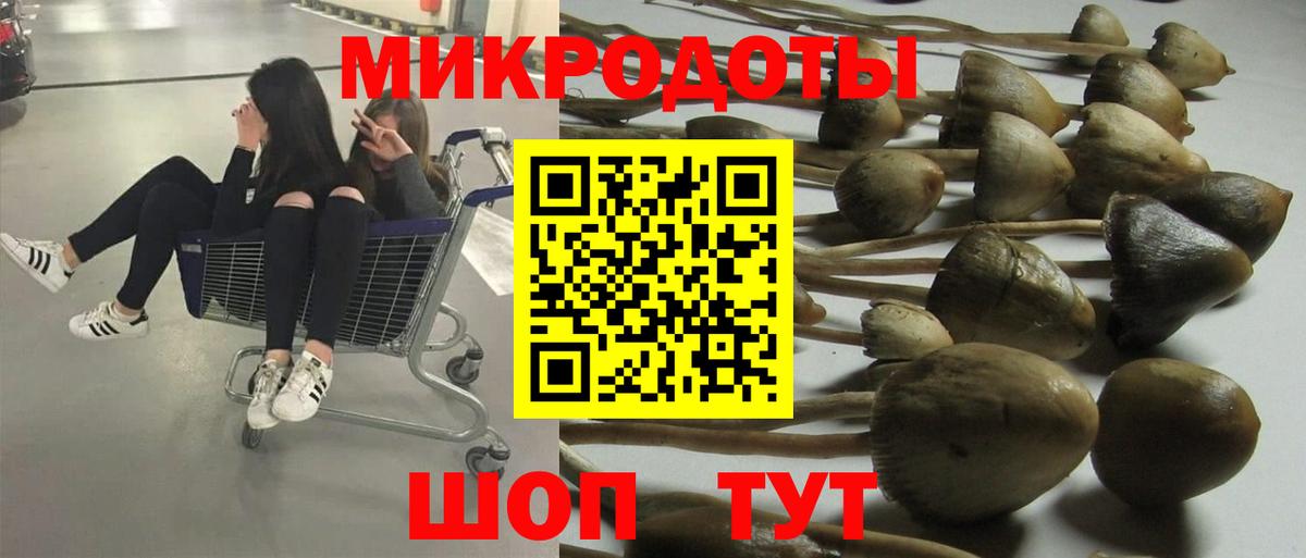 Псилоцибиновые грибы мицелий Белореченск